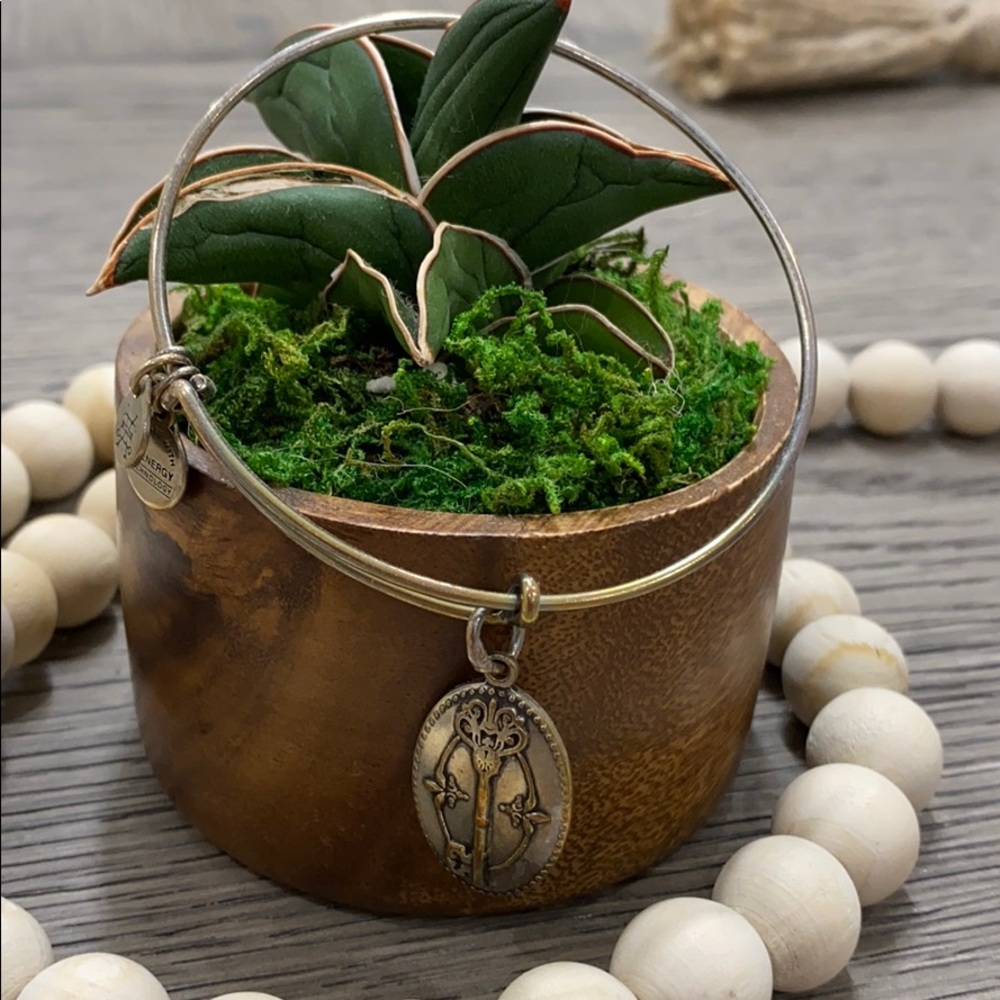 Alex and ani bracelet